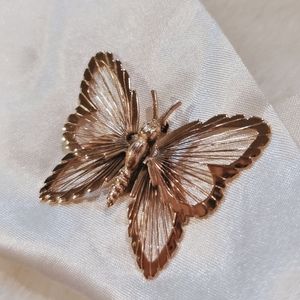 Butterfly 🦋 brooch